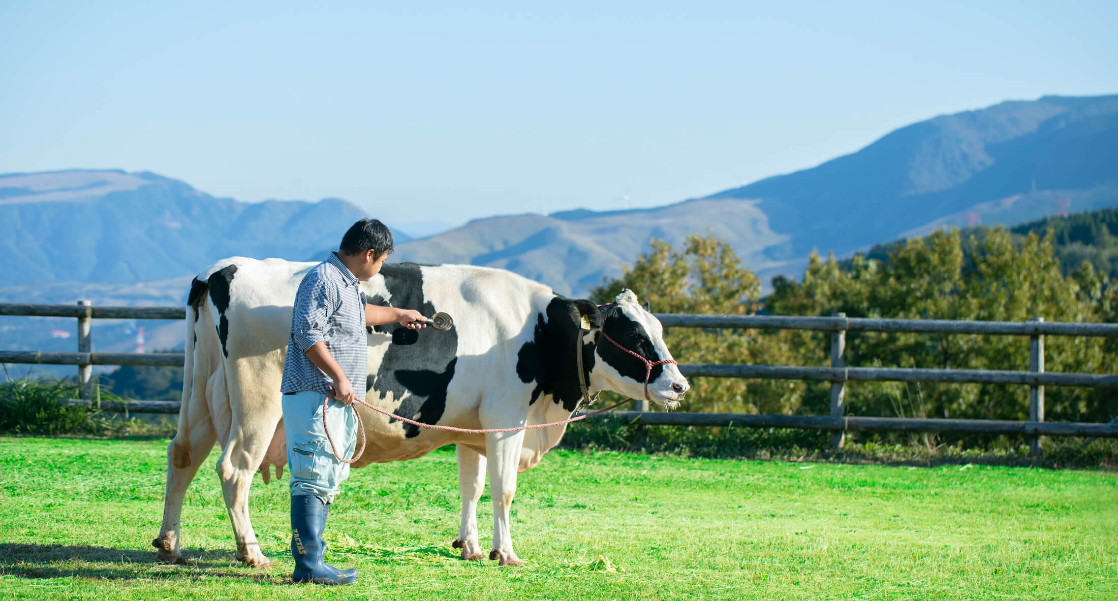 写真撮影（らくのうマザーズ［熊本県酪農業協同組合連合会］）