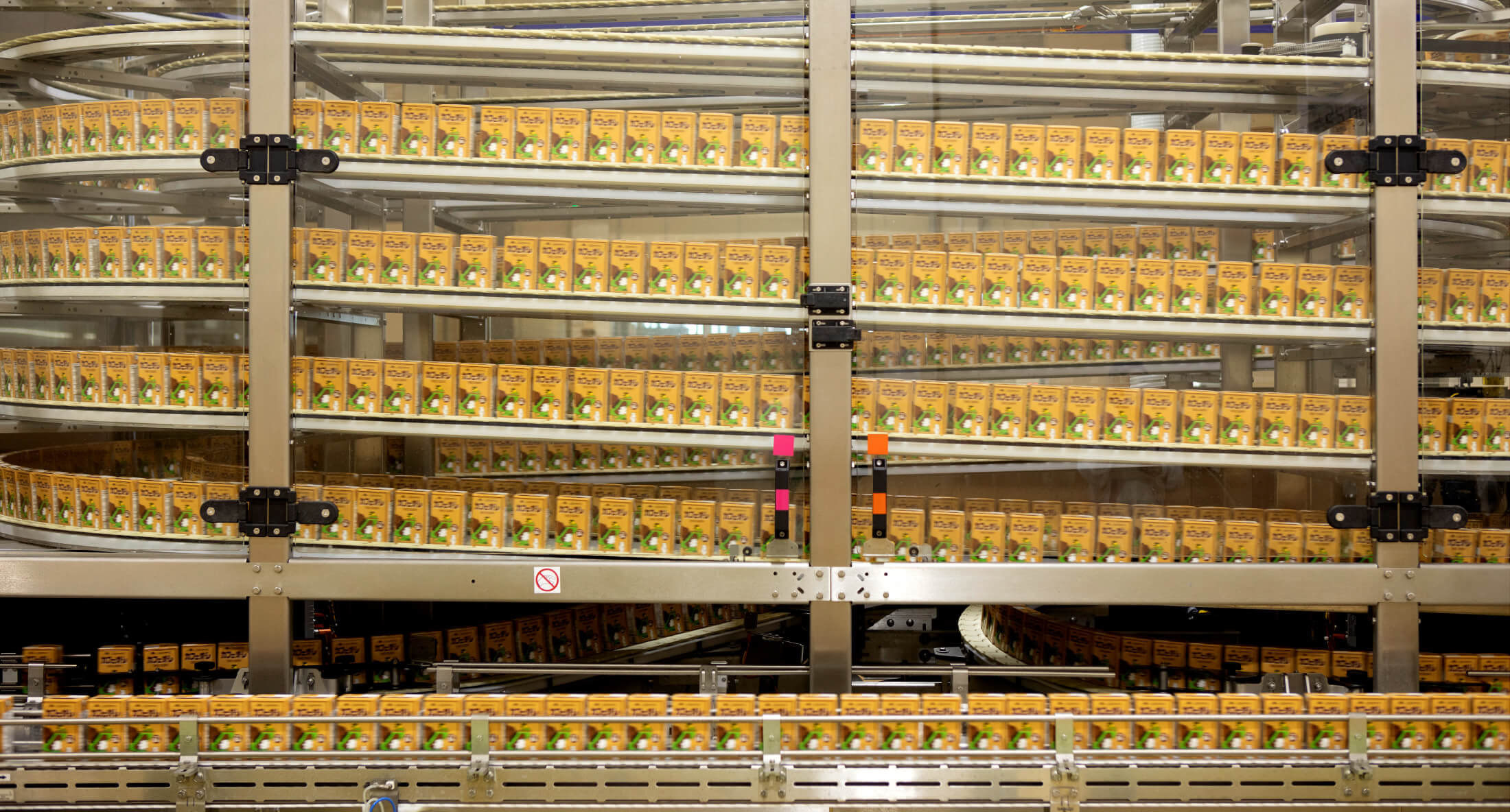 写真撮影（らくのうマザーズ［熊本県酪農業協同組合連合会］）