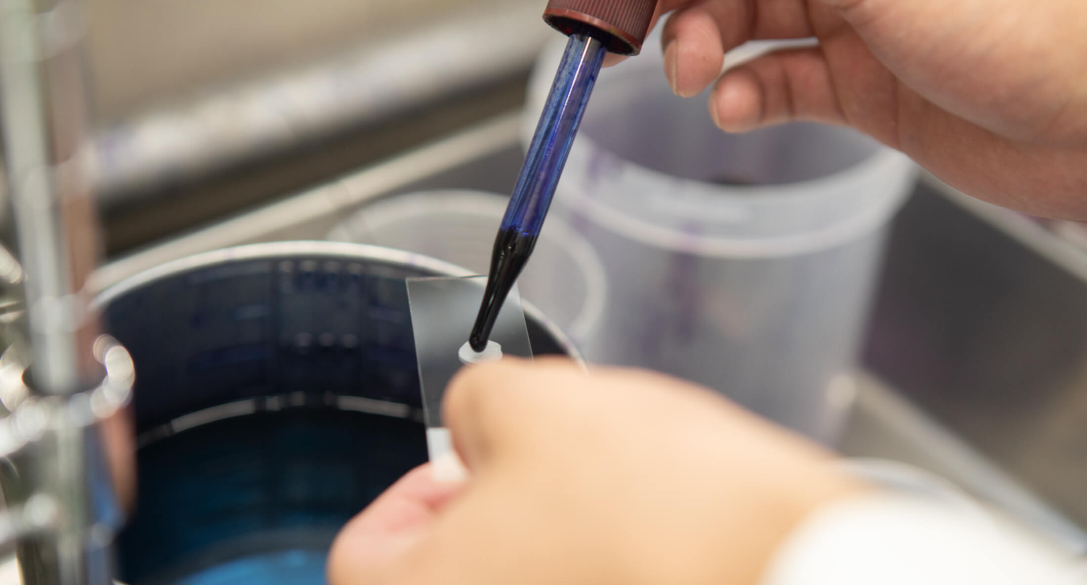 写真撮影（らくのうマザーズ［熊本県酪農業協同組合連合会］）