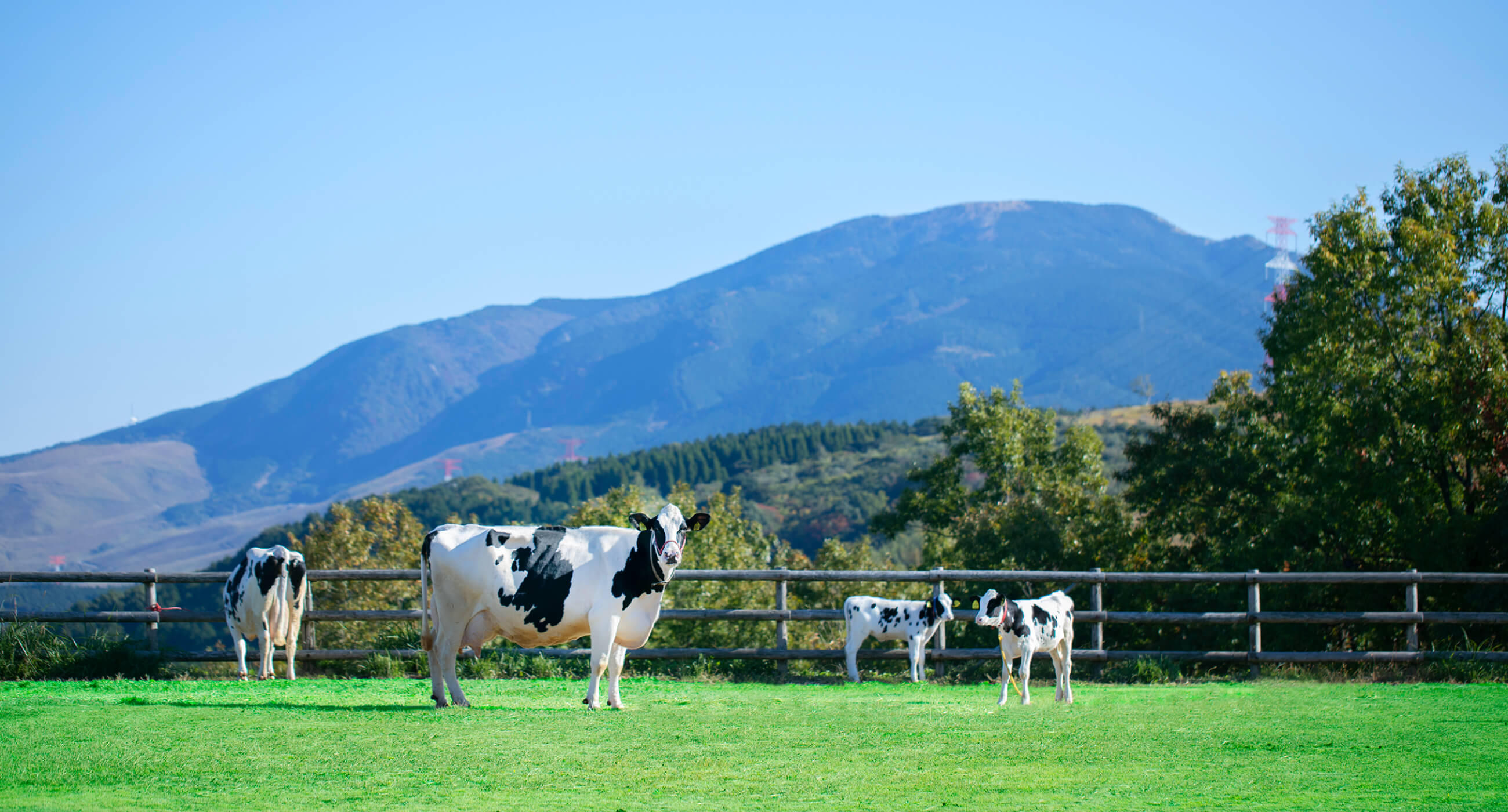 らくのうマザーズ［熊本県酪農業協同組合連合会］